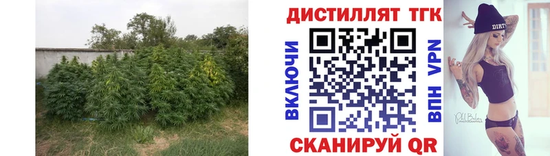 ТГК вейп  цены   Озёры 