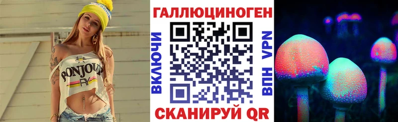 где купить   Озёры  Псилоцибиновые грибы GOLDEN TEACHER 